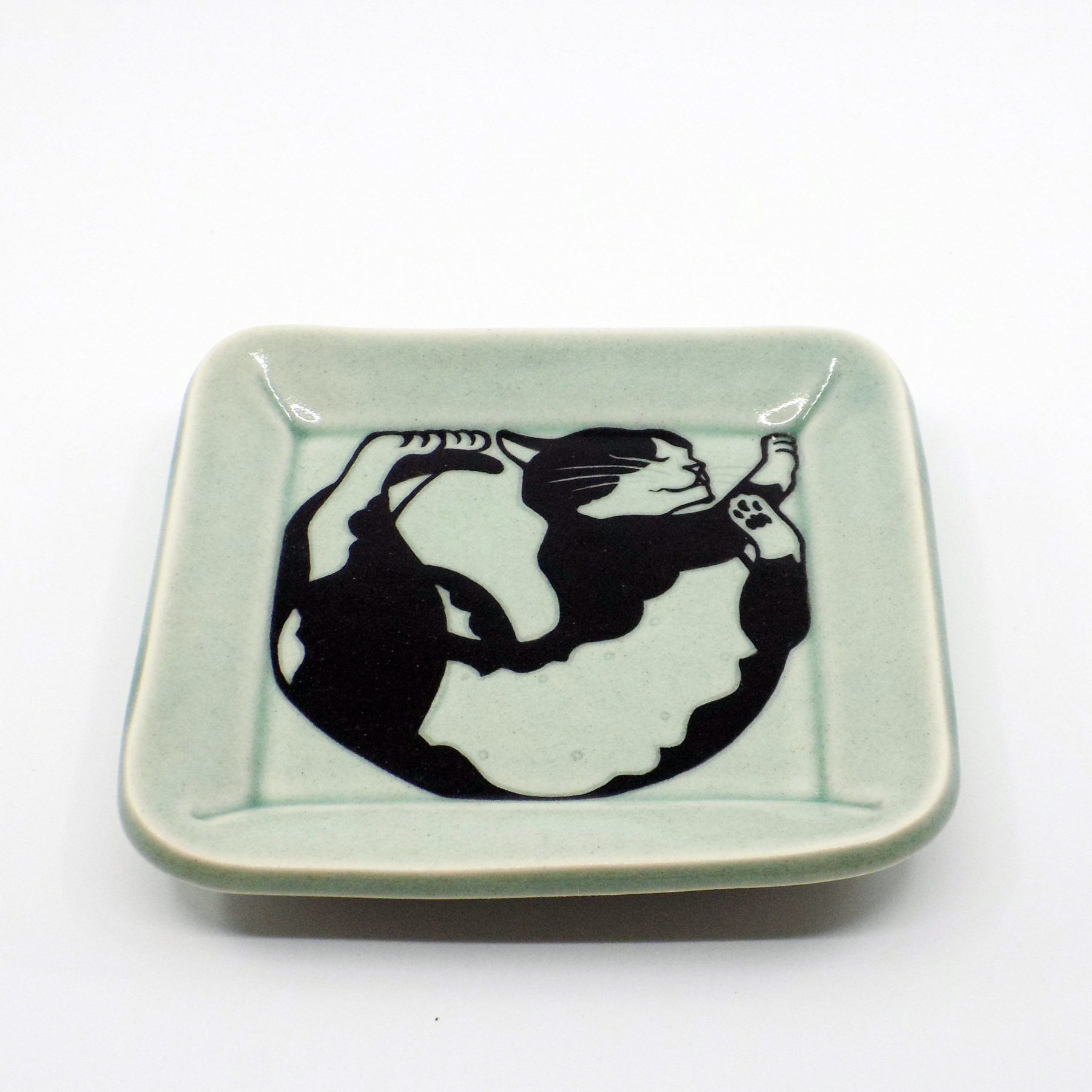 Square Cat Plate