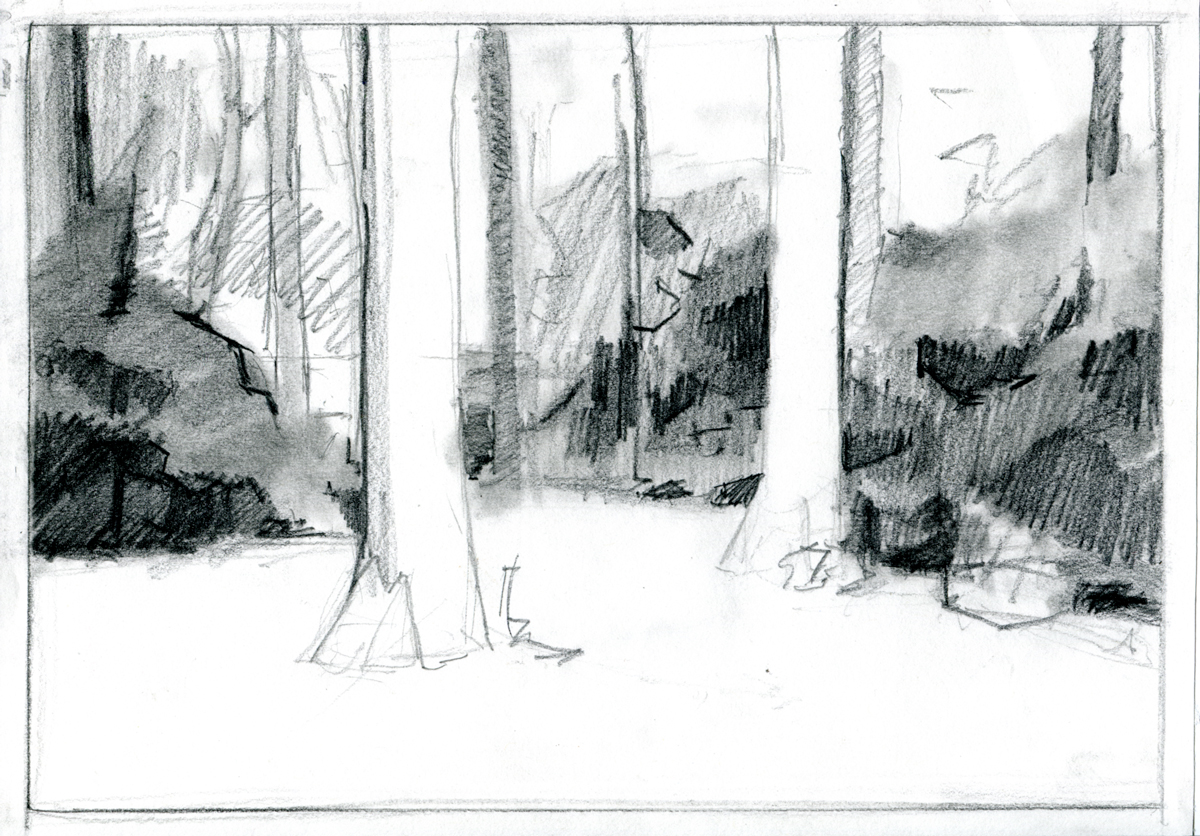 Forest (1)