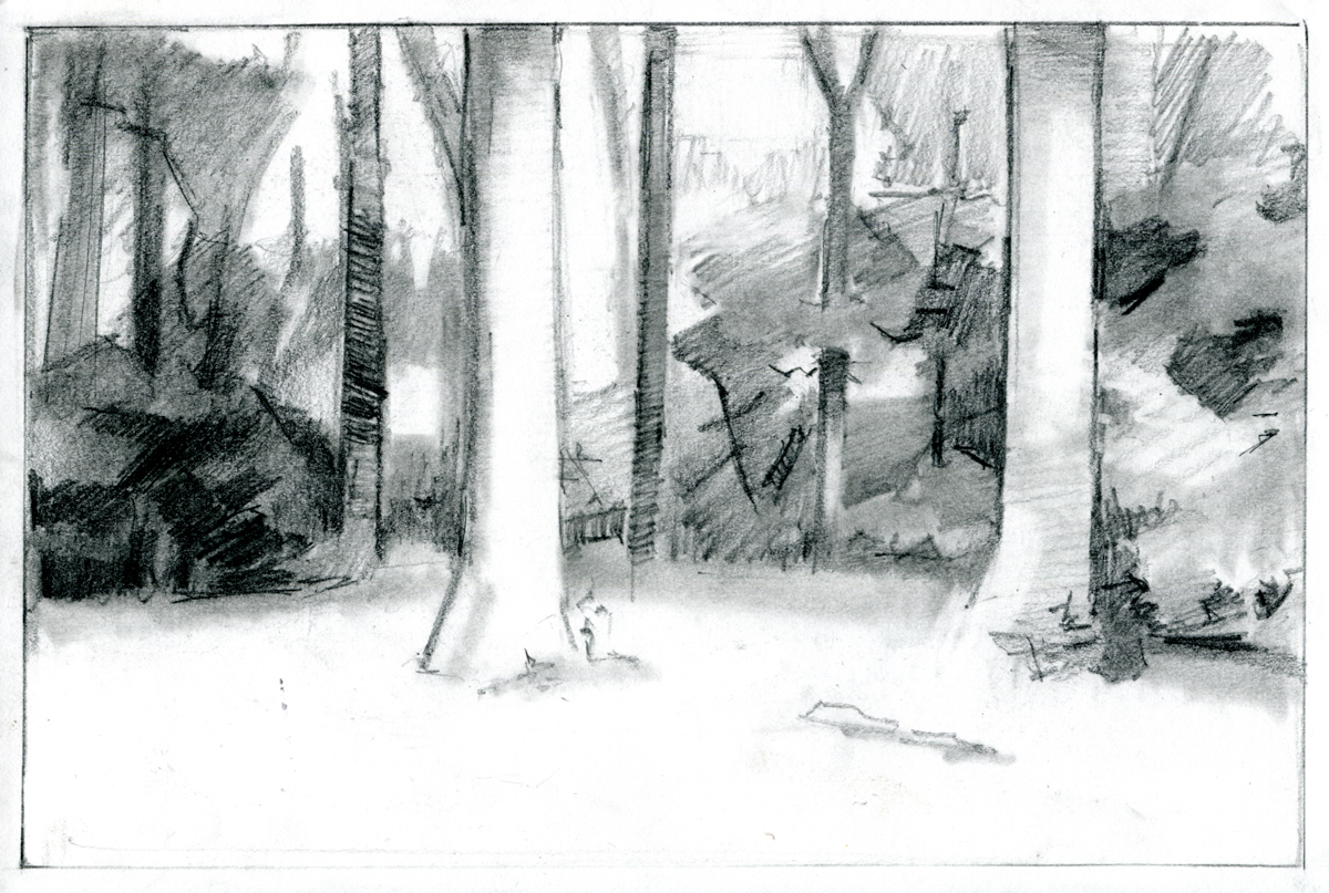 Forest (2)