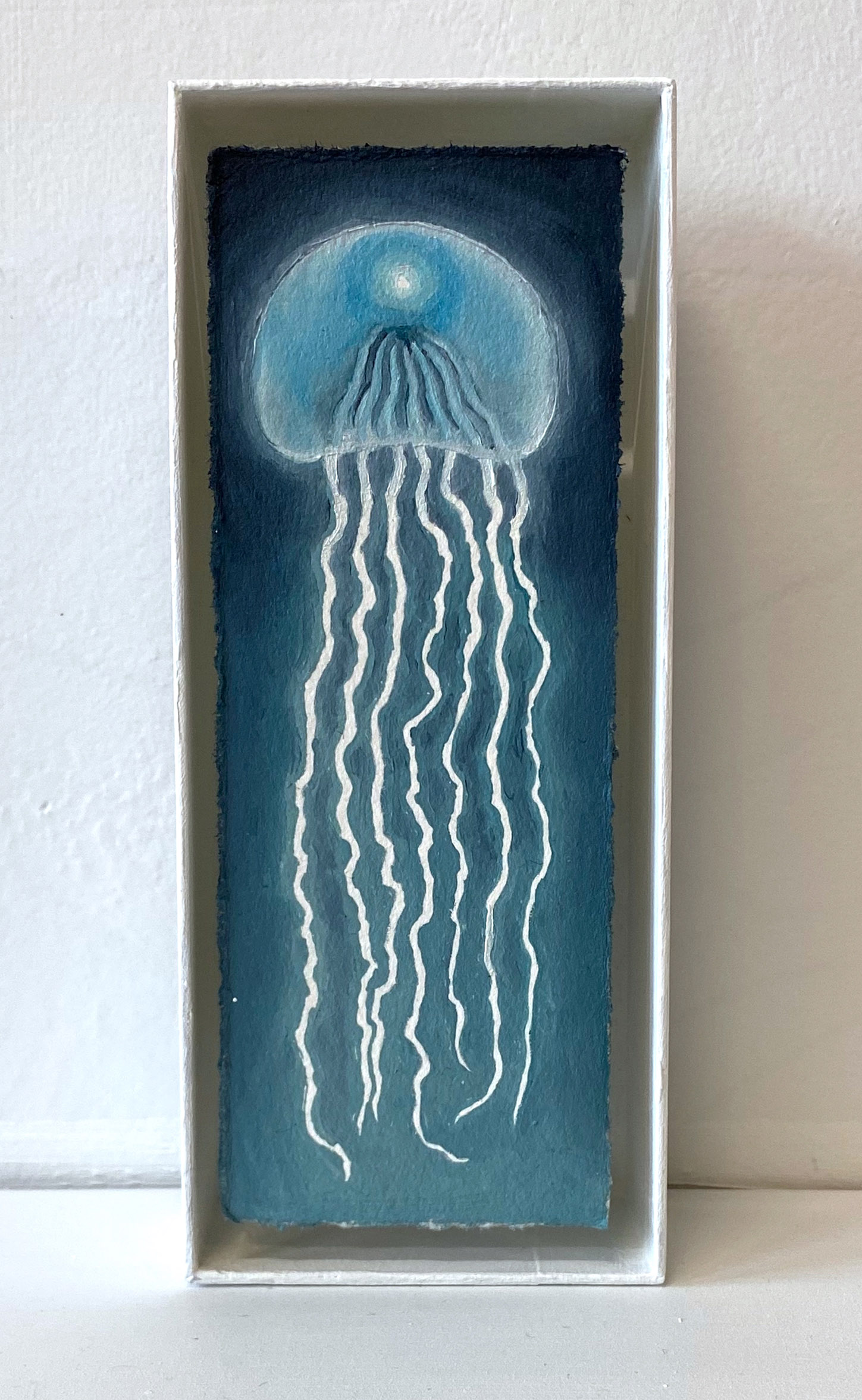 Jellyfish