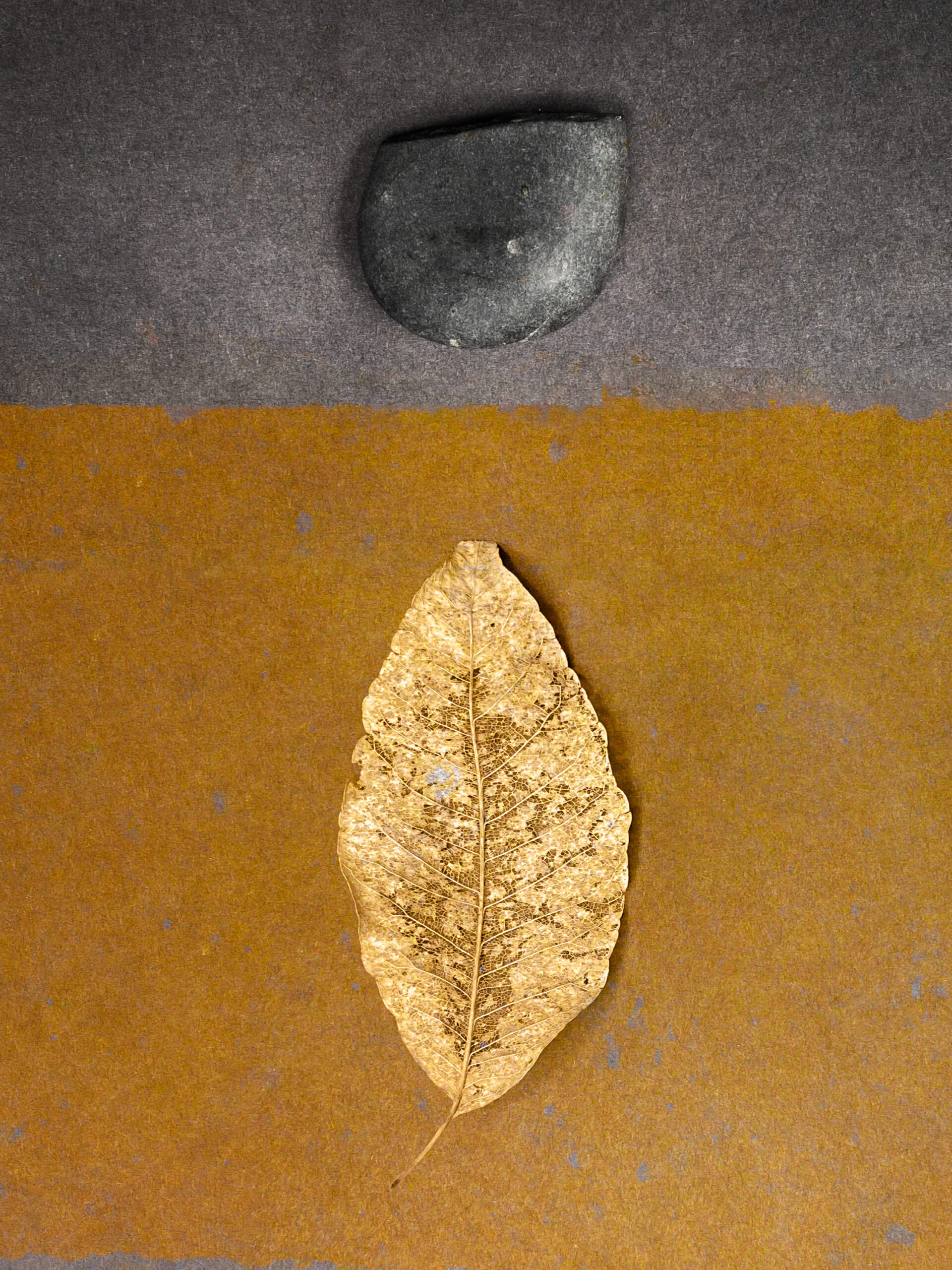 Smooth Stone & Golden Leaf