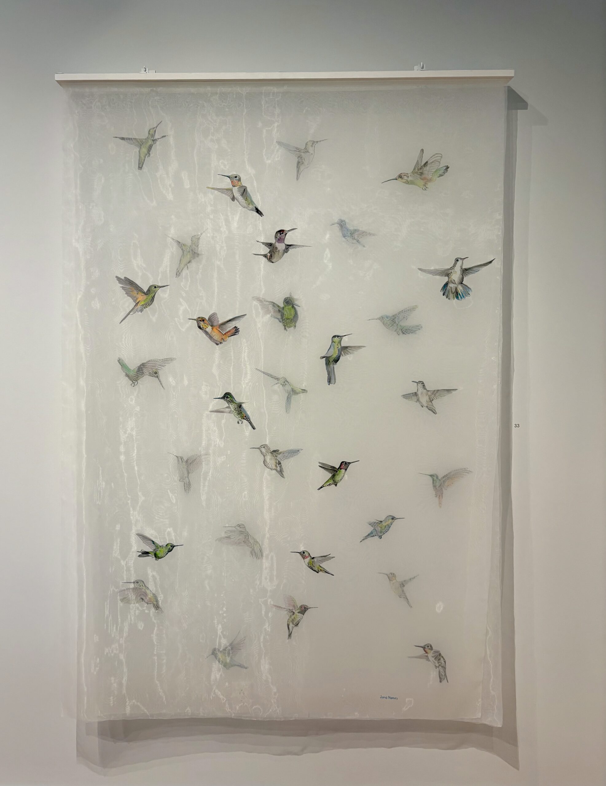 30 Hummingbirds