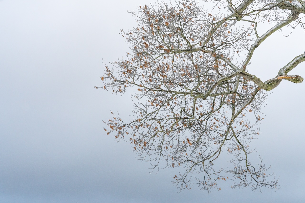 A Different Light: Landscapes by Gwen Norton