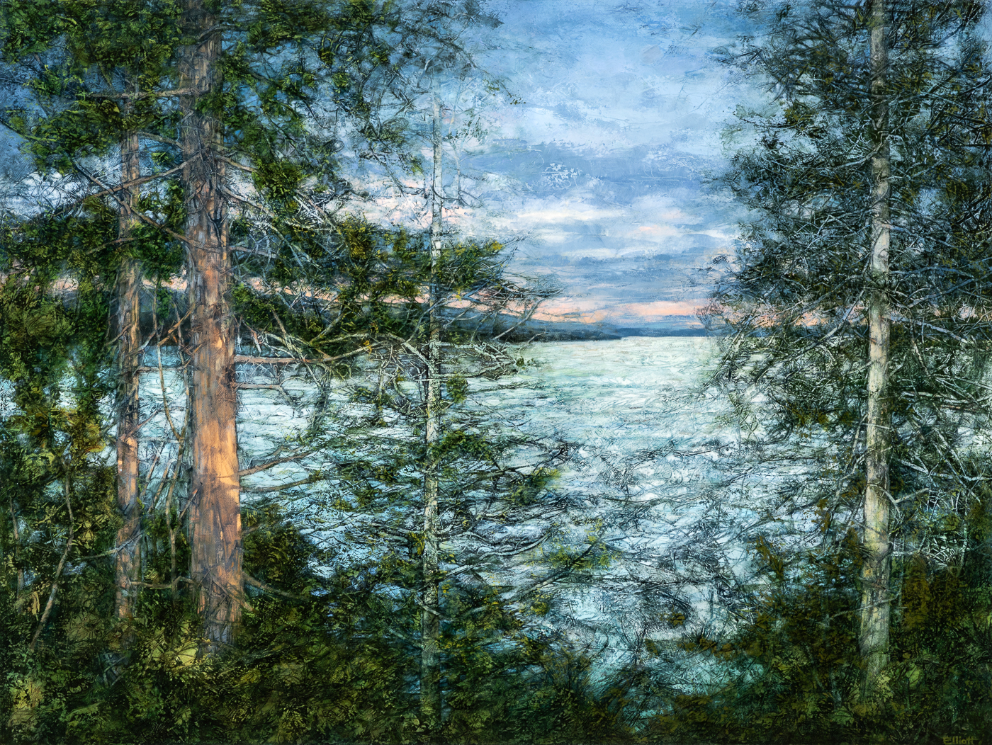 Forest for the Trees