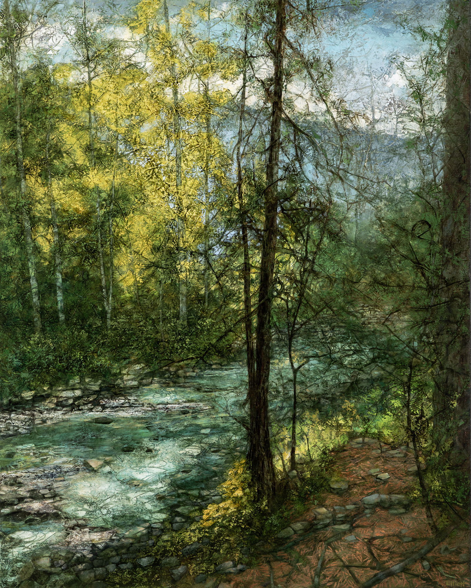 Western Forest