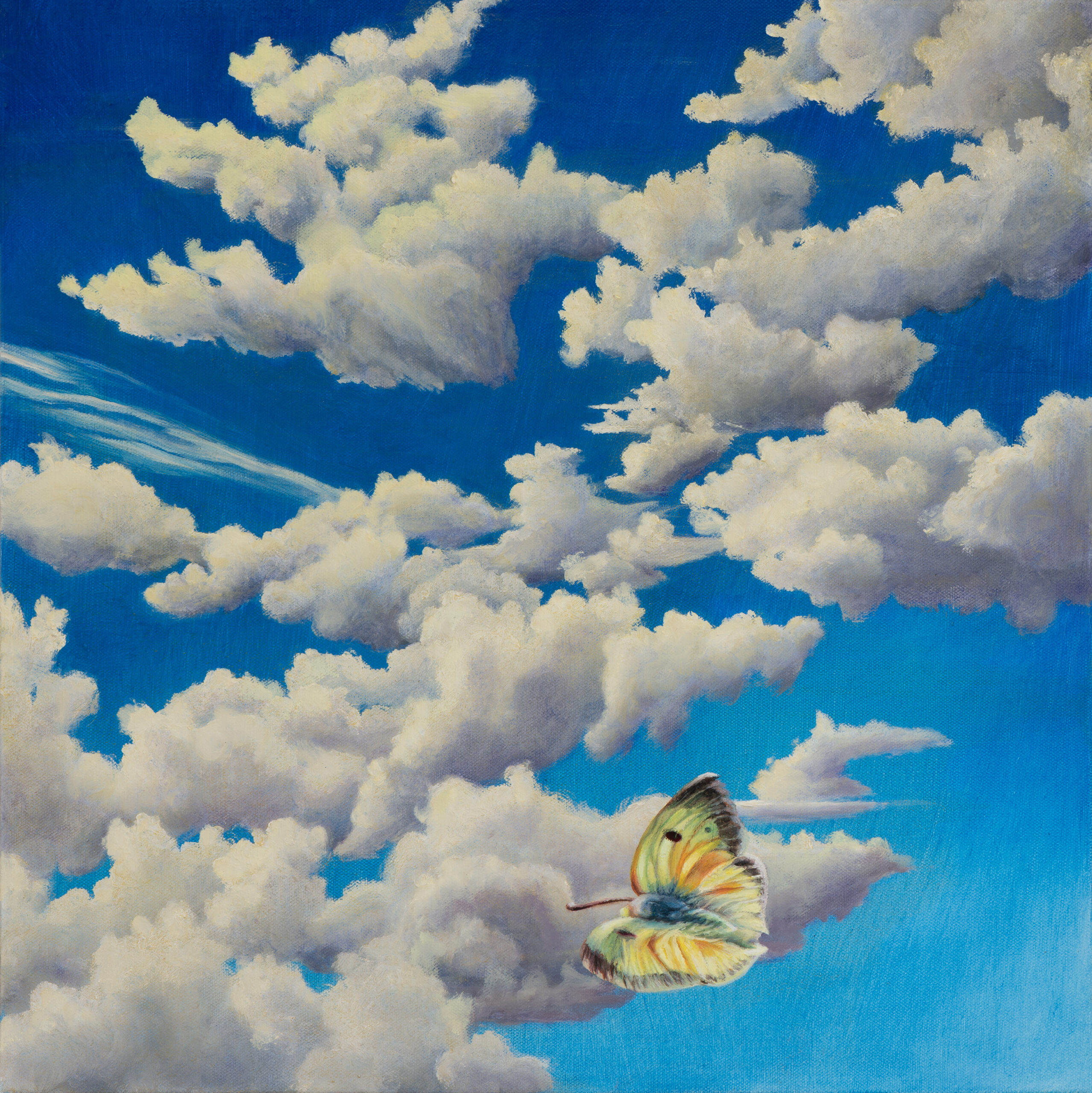Portrait of the Viewer as a Butterfly